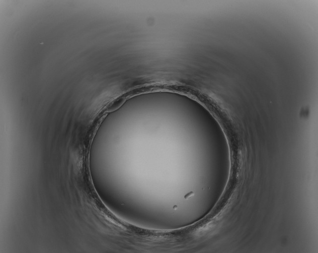X0000089971257200707061153