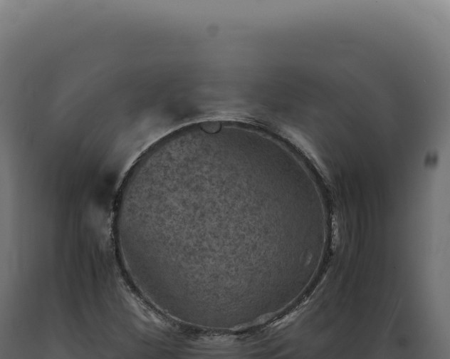 X0000089971260200707061153