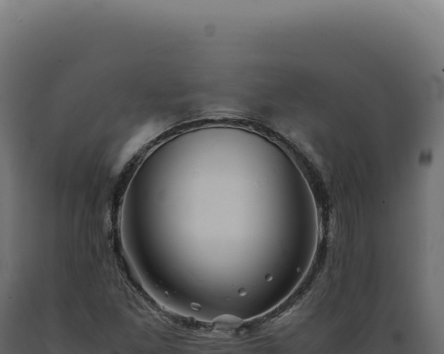 X0000089971261200707061153