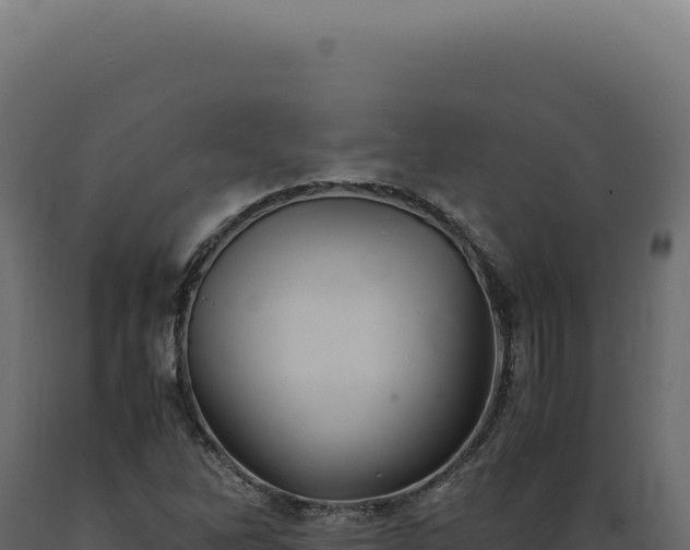 X0000089971262200707061153