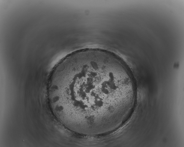 X0000089971263200707061153