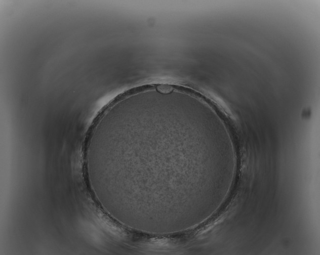 X0000089971264200707061153