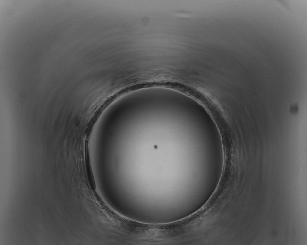 X0000089971265200707061153