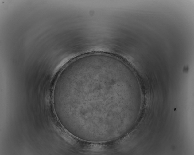 X0000089971266200707061153