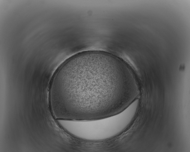 X0000089971268200707061153