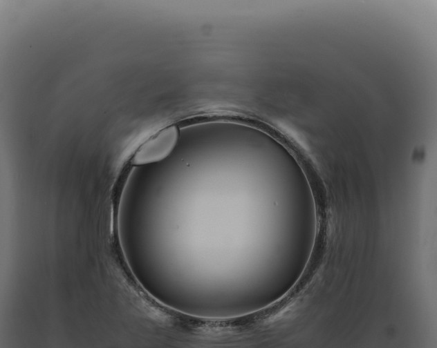 X0000089971269200707061153