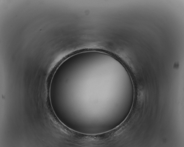 X0000089971270200707061153