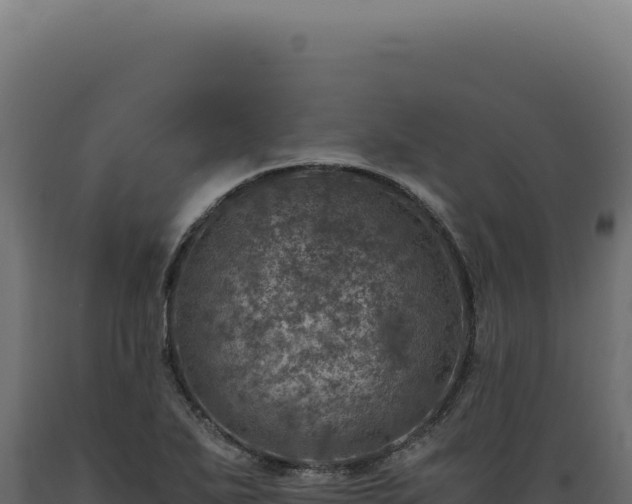 X0000089971271200707061153