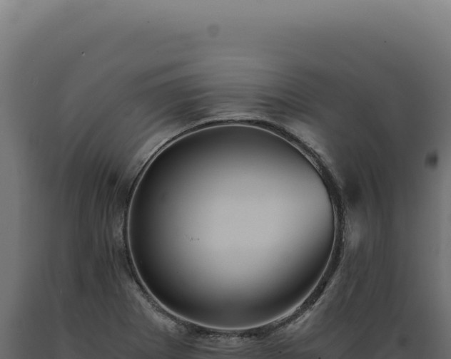 X0000089971273200707061153