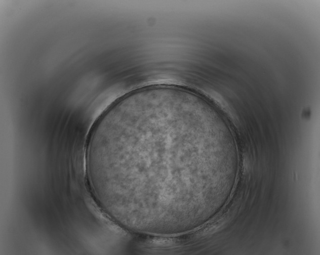 X0000089971274200707061153