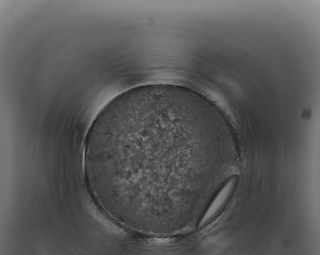 X0000089971275200707061153