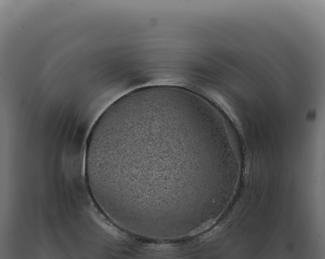 X0000089971276200707061153