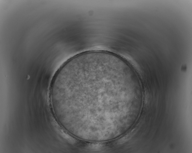 X0000089971278200707061153
