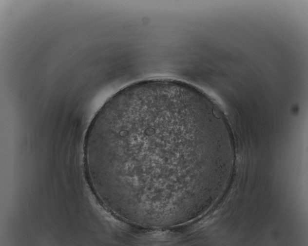 X0000089971279200707061153