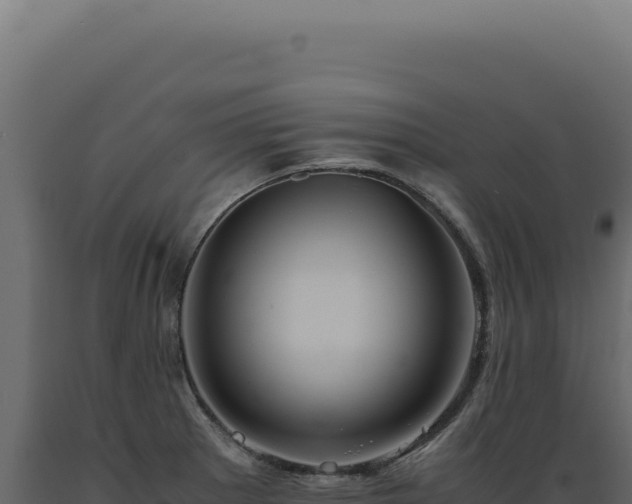 X0000089971281200707061153