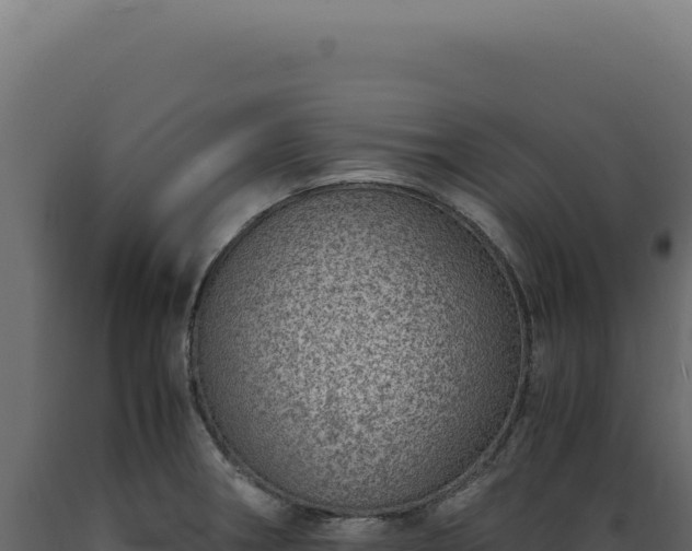 X0000089971282200707061153