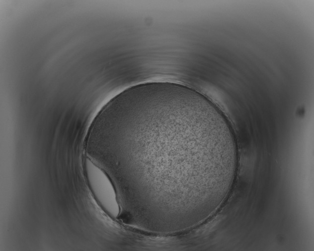 X0000089971284200707061153