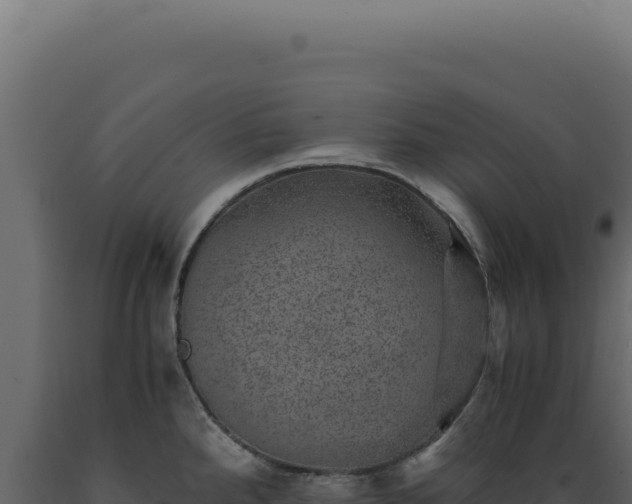X0000089971288200707061153