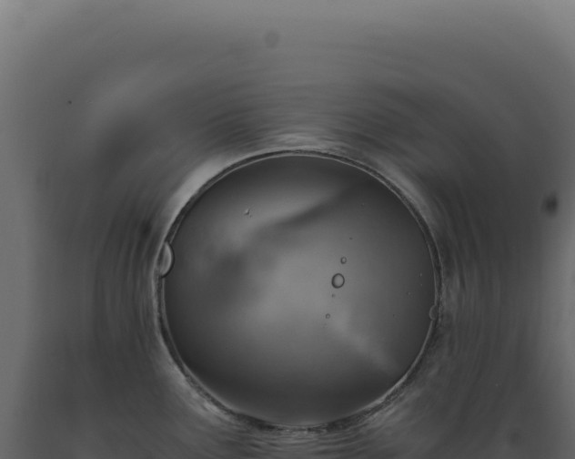 X0000089971291200707061153