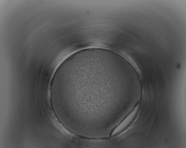 X0000089971292200707061153