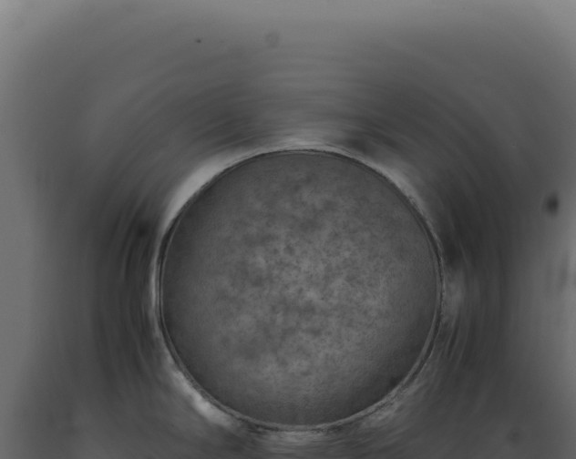 X0000089971294200707061153