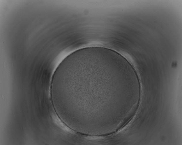 X0000089971296200707061153