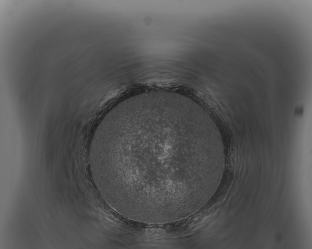 X0000089971297200707061152