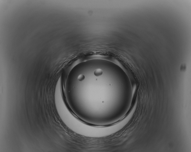 X0000089971298200707061152
