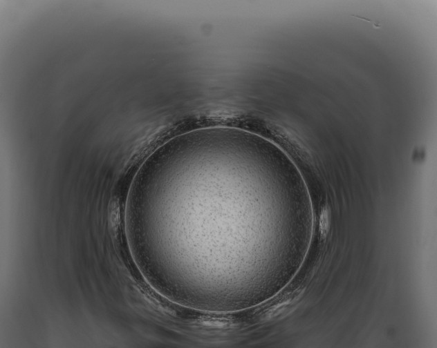 X0000089971299200707061152