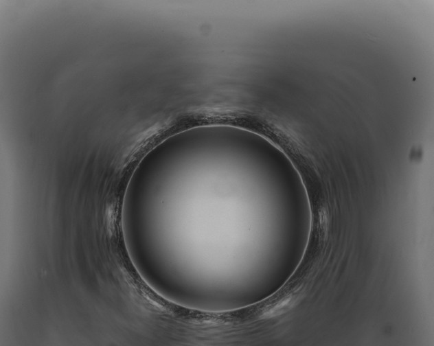 X0000089971300200707061152