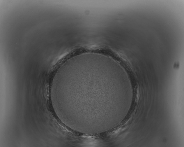 X0000089971301200707061152