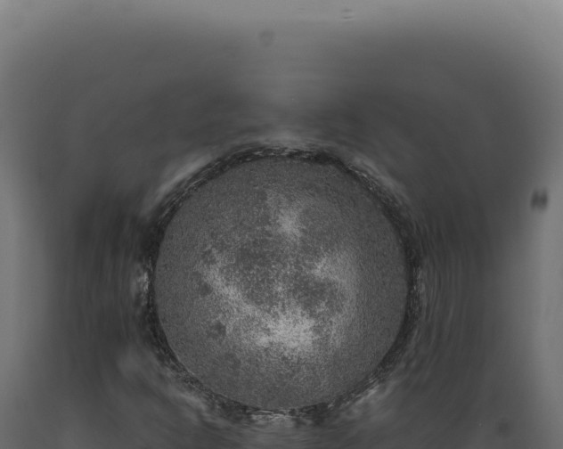X0000089971302200707061152