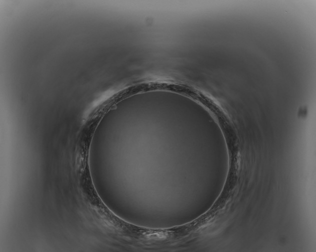 X0000089971303200707061152