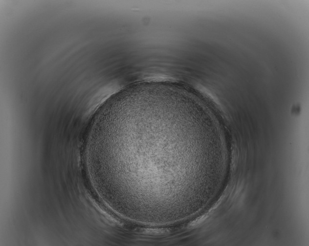 X0000089971305200707061152