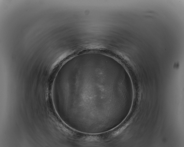 X0000089971306200707061152