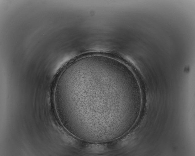 X0000089971307200707061152