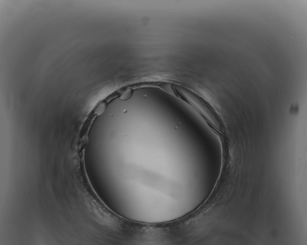 X0000089971308200707061152