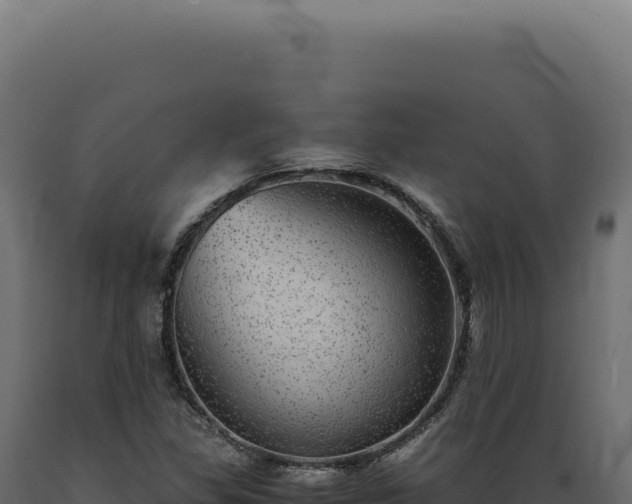 X0000089971309200707061152