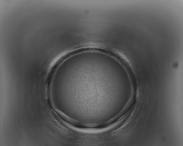 X0000089971310200707061152