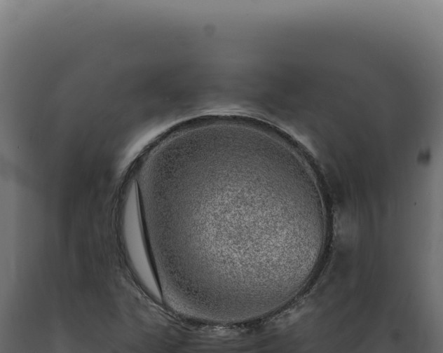 X0000089971311200707061152