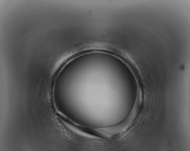 X0000089971312200707061152