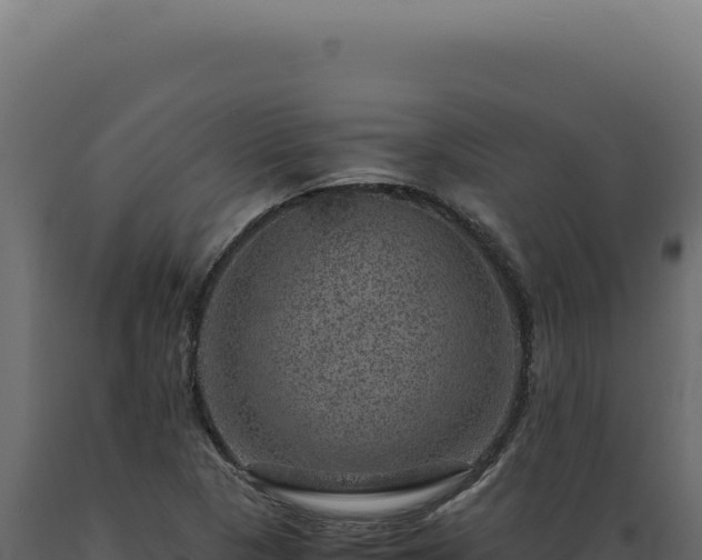 X0000089971313200707061152