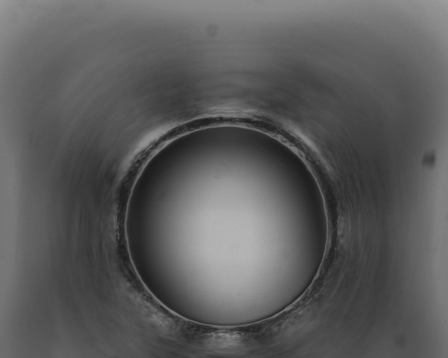 X0000089971315200707061152