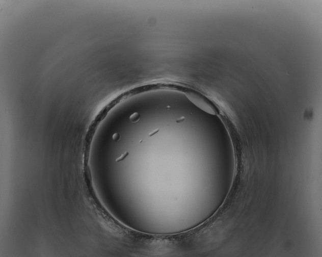 X0000089971316200707061152