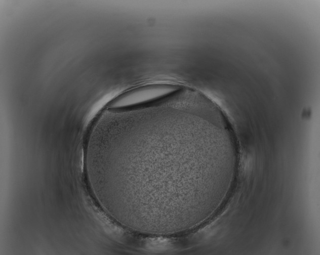 X0000089971317200707061152