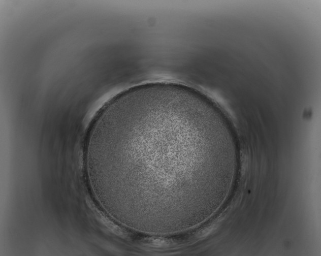 X0000089971318200707061152