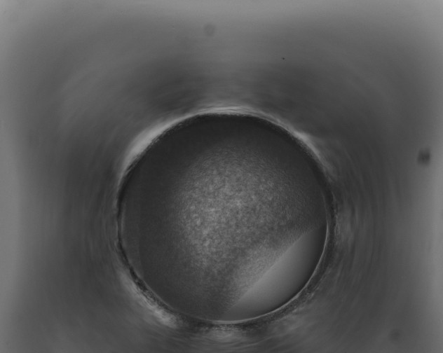 X0000089971319200707061152