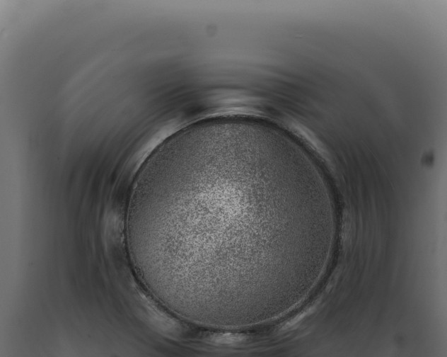 X0000089971321200707061152
