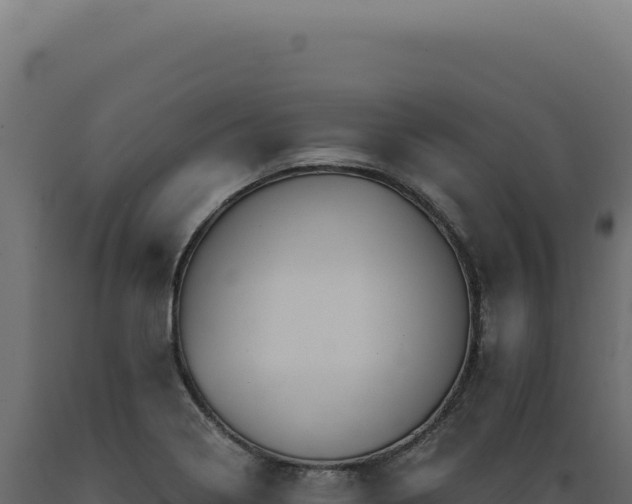 X0000089971322200707061152