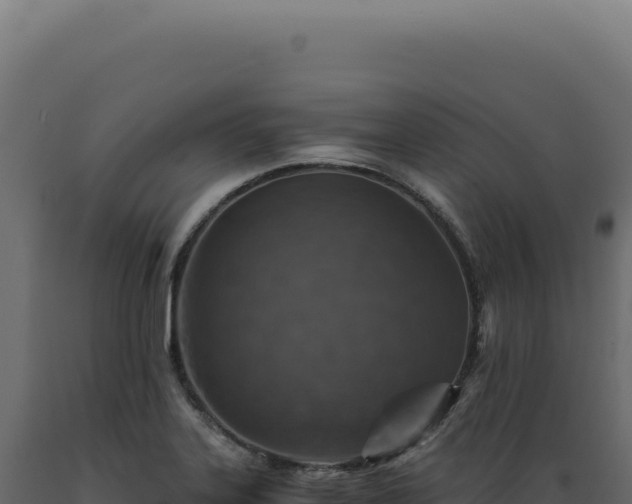 X0000089971323200707061153